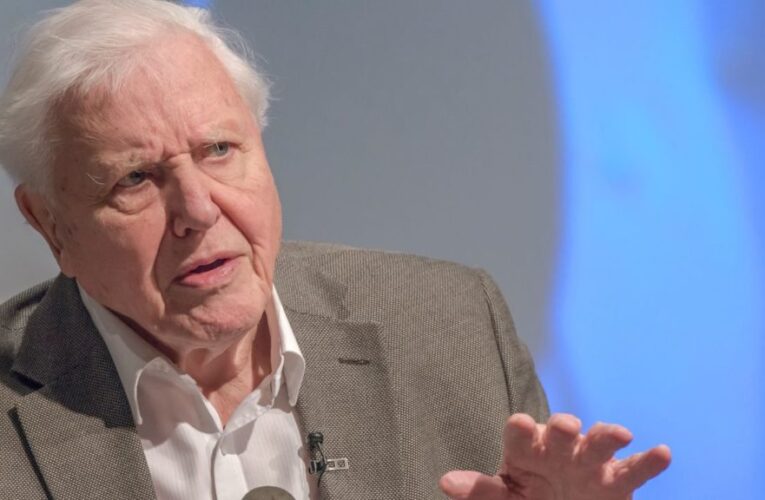 Συγκλονιστικός ο David Attenborough στον ΟΗΕ> Δεν υπάρχει επιστροφή για τον πλανήτη