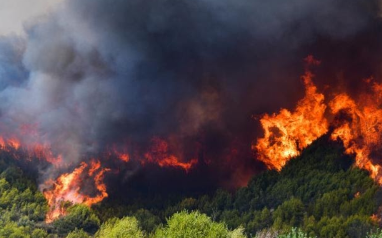 Εμπρησμός χωρίς ΚΑΜΙΑ  αμφιβολία, στο Ελαφόκαστρο του  Παρνασσού
