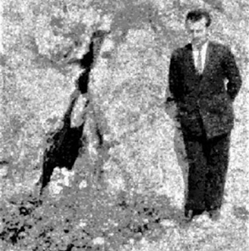 Οι Μαντικές αναθυμιάσεις των Δελφών αναδύονταν στην Ανεμότρυπα τουλάχιστον μέχρι το 1955   